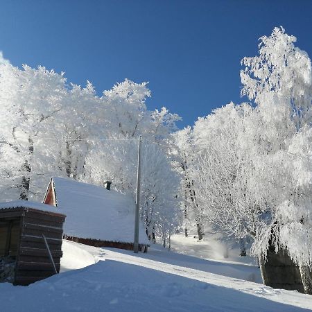 Mountain Village Žabljak Εξωτερικό φωτογραφία