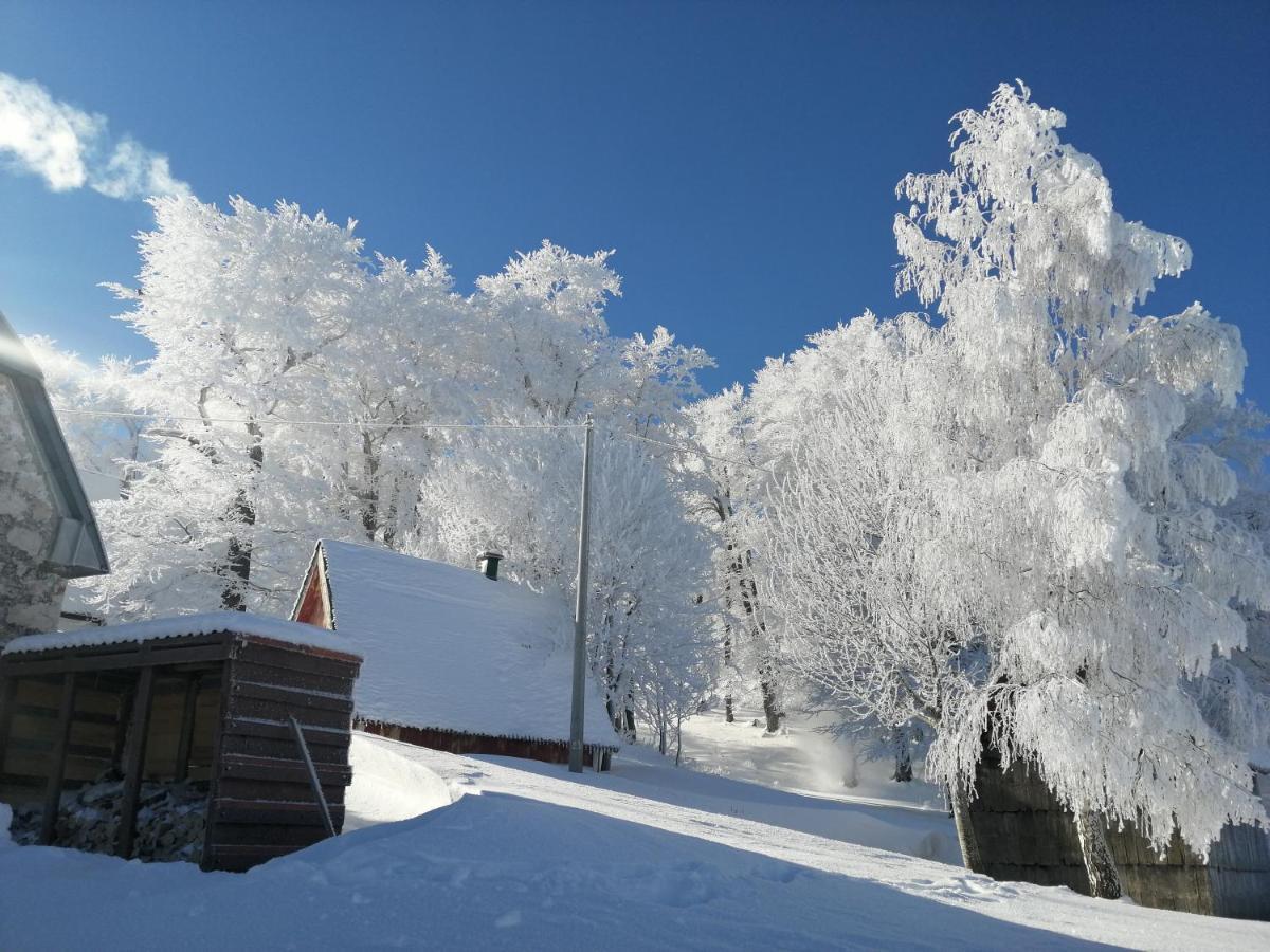 Mountain Village Žabljak Εξωτερικό φωτογραφία