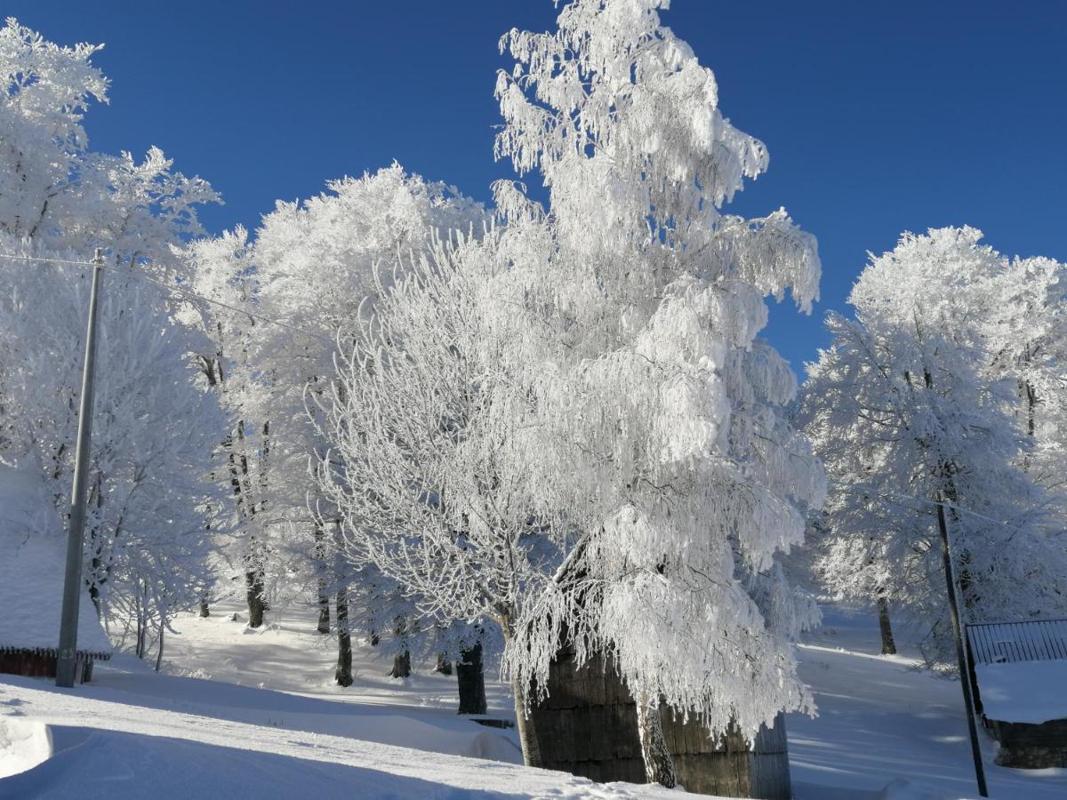 Mountain Village Žabljak Εξωτερικό φωτογραφία